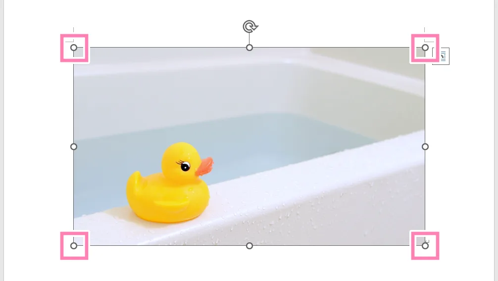 「Word」画像サイズ変更のハンドル。