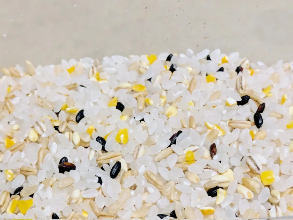 炊く前の雑穀米。白みがかっている。