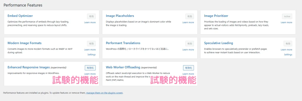 「Performance Lab」のおすすめ設定。